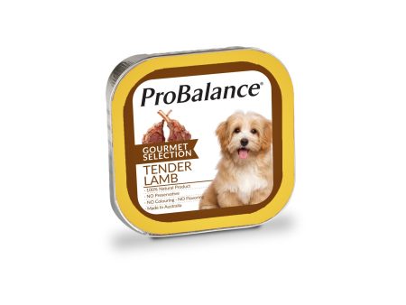 Pro Balance Gourmet Selection Tender Lamb Dog Wet Food 100g Supply