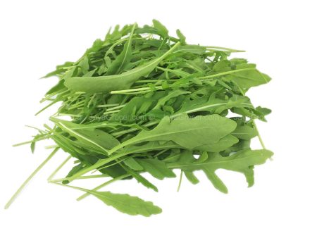 Genting Garden Wild Rocket Herb (Malaysia) 50g Fashion