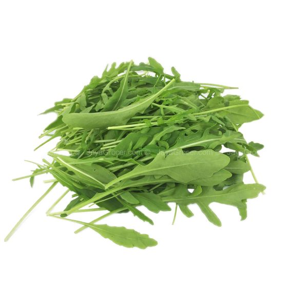 Genting Garden Wild Rocket Herb (Malaysia) 50g Fashion