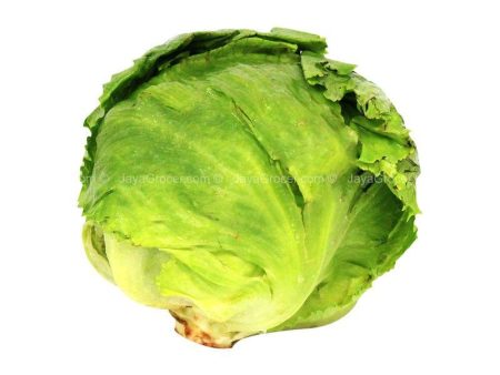 Cameron Garden Iceberg Lettuce 300g Discount