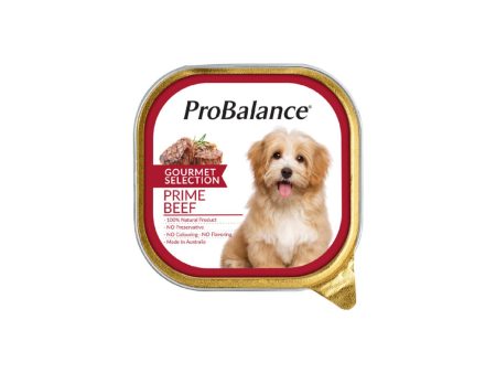 Pro Balance Gourmet Selection Prime Beef Dog Wet Food 100g Supply