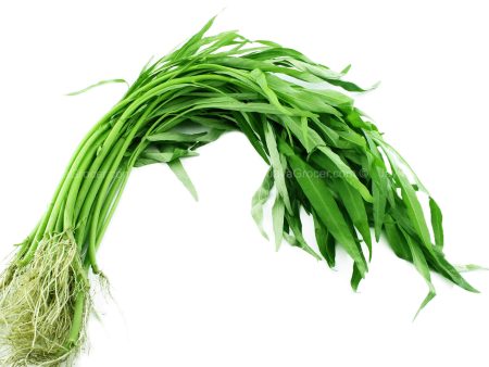 Summer Harvest Water Spinach (Kangkung) (Malaysia) 250g Discount