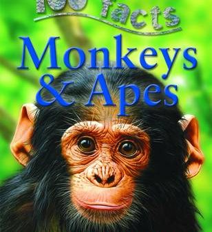 100 Facts Monkeys & Apes For Sale